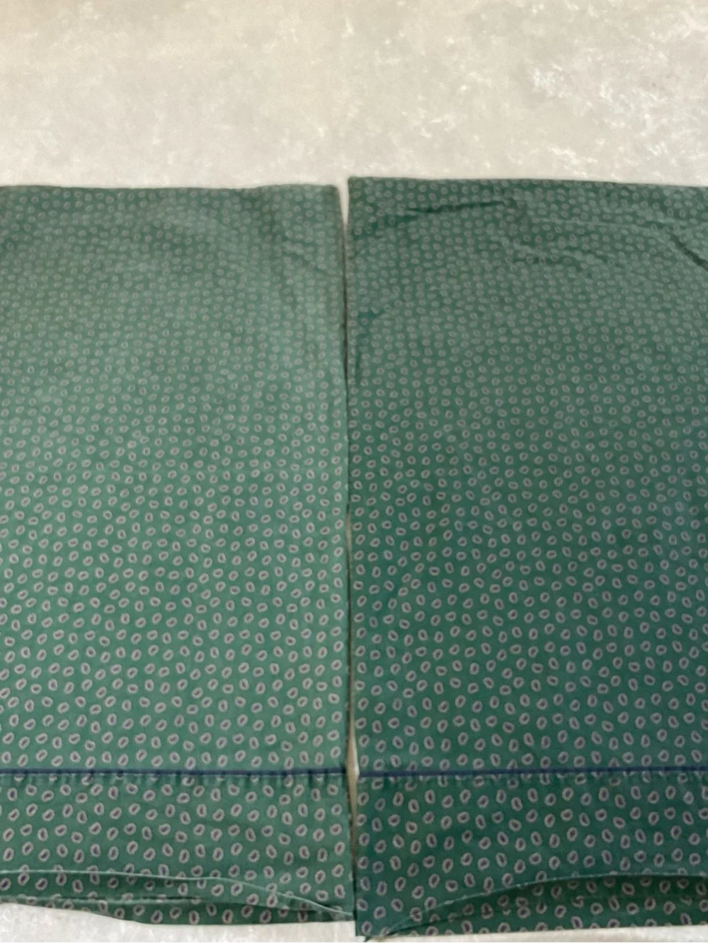 Polo by Ralph Lauren Green Printed Two Pillowcases